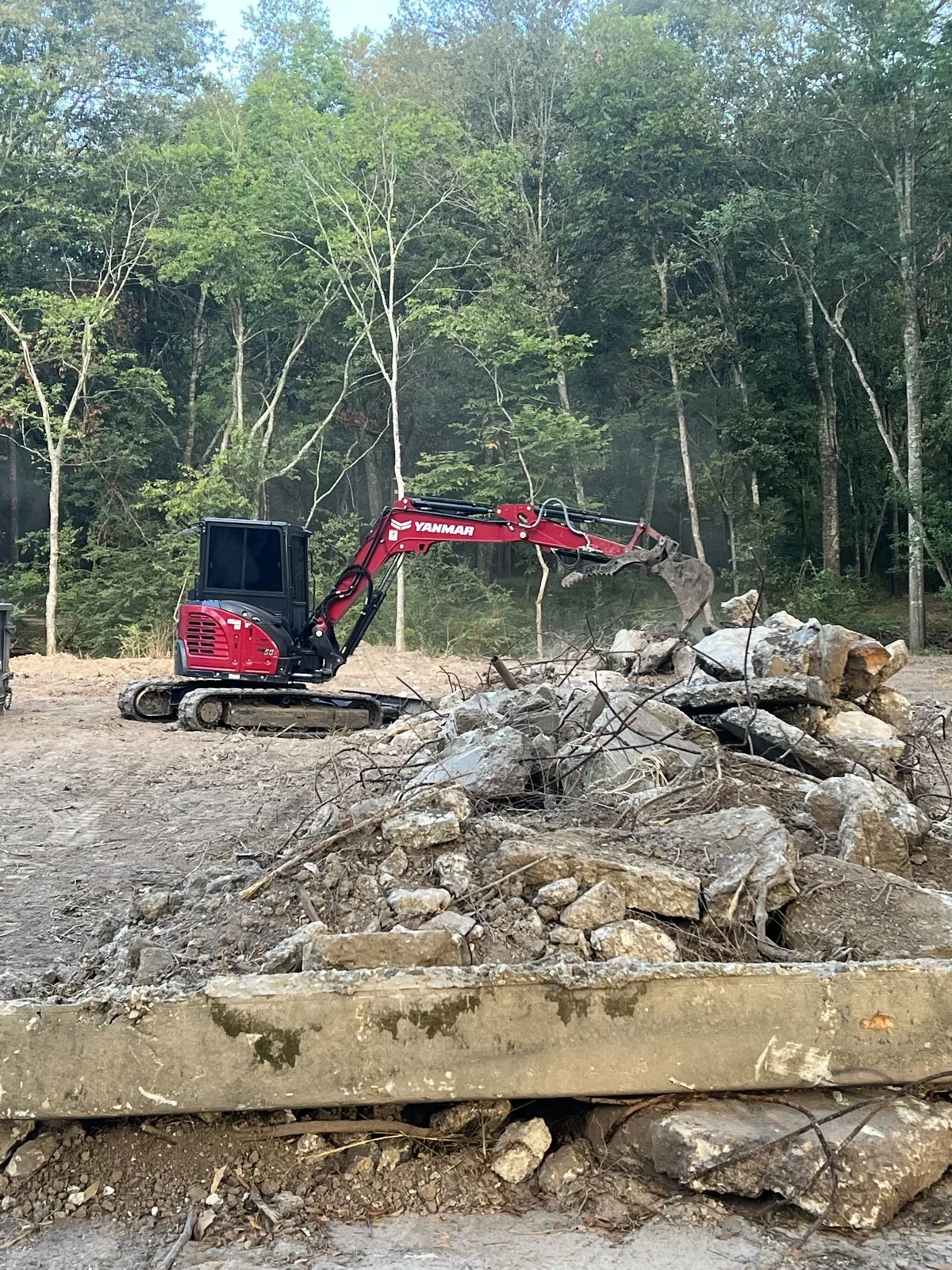 Land Clearing in New Iberia, LA